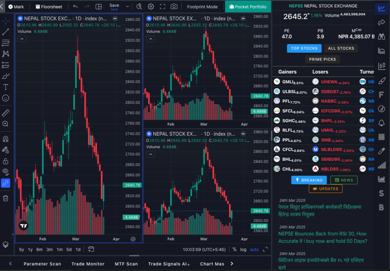 Nepse Alpha Pvt. Ltd. project 2